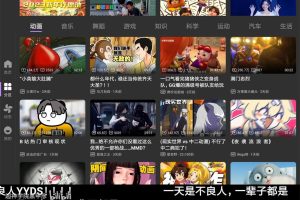 BBLL v1.5.2 B站第三方软件