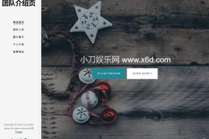 好看自适应团队介绍页源码