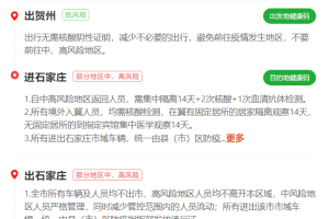 2021年全国防疫政策查询源码