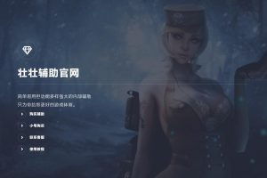 游戏FZ寄售官网源码带后台