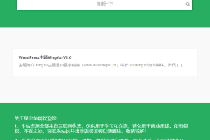 WordPress星宇前端主题v1.0