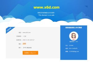 在线出售域名页面html源码