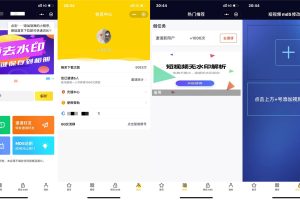 微信小程序短视频去水印源码