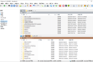 XYplorer v27.00.0800绿色版