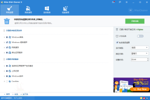 Wise Disk Cleaner v11.2.2.841绿色版