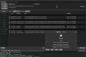 czkawka重复文件查找清理v9.0