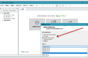 VMware虚拟机v17.6.3精简版