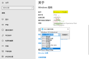 Windows10系统版本切换器