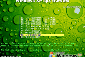 Windows XP/2003纯净安装版