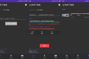 安卓LJ视频下载器v1.1.37纯净版