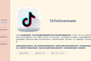 抖音下载TikTokDownloader v5.4