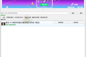 抖音解析下载工具v1.0.0单文件版