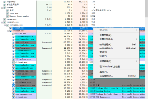 Process Explorer v16.32汉化版