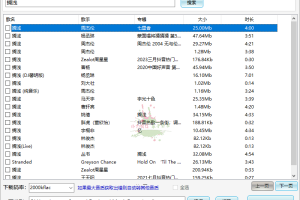 小汪音乐无损下载器v4绿色版