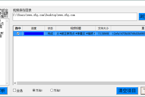 抖音无水印直链解析下载工具v1.1