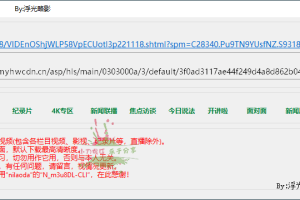 央视网视频超级下载工具v1.0