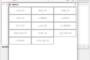 全网DJ&音乐无损解析下载