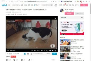 油猴脚本：哔哩哔哩视频下载