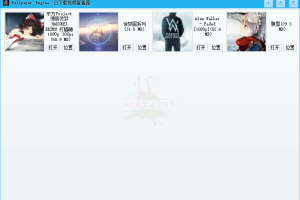 Wallpaper已下载视频查看器