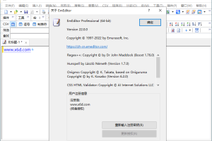 EmEditor文本编辑器v25.2.2专业版