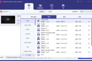 Aiseesoft Video Converter v10.9.8
