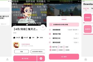 安卓BILIBILIAS番剧下载器v2.1.0