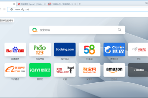 Opera浏览器v119.0.5497.56绿色版