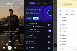 安卓酷我音乐v11.3.0.0绿化版
