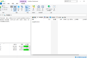 TreeSize Professional v9.5.0.2102绿色版