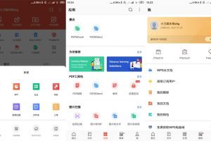 安卓WPS Office v18.18.2高级版