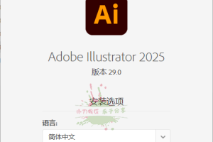 Adobe Illustrator 2025 v29.6.0.207