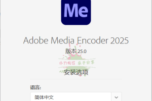 Adobe Media Encoder 2025 v25.3.0