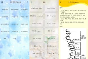 安卓人体穴位图解v3.1.8可离线版