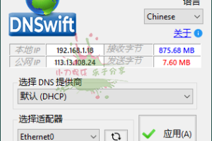 DNS切换工具DNSwift v1.1中文版