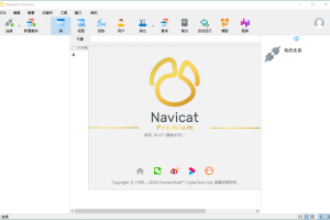 Navicat Premium v17.2.7绿色版