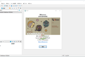 Dbeaver community v25.0.5绿色版