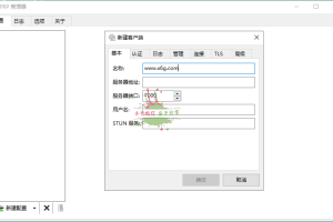 Frpmgr客户端v1.21.1绿色版