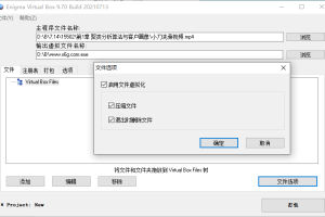 Enigma Virtual Box v11.30汉化版