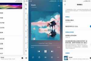 安卓椒盐音乐Salt播放器v10.8.0