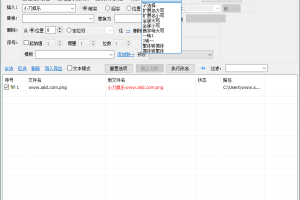 MiniRenamer批量文件重命名v2.2.2