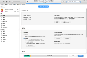 苹果iTunes v12.13.5.3 / 12.6.5.3