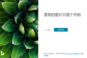 Bing Wallpaper v2.0.1.8中文版