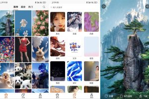 安卓哈喽壁纸v1.0.2绿化版