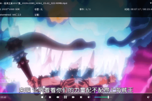 DVDFab Player v7.0.4.6中文版