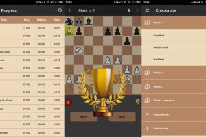 有趣的棋盘游戏 国际象棋大师