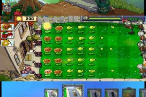 植物大战僵尸全新欧美版