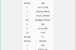 《战地5》v1.04-v23249中文版