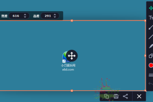 Movavi Screen Recorder v22.5