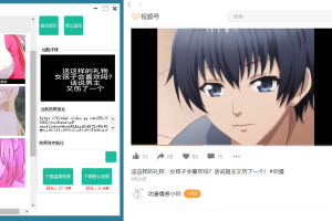 微信视频号嗅探下载器v1.2