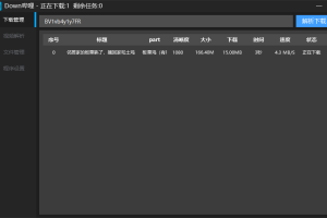 Down哔哩解析下载工具v0.1.1